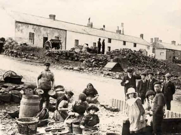 Dunstanburgh Road and the foreshore